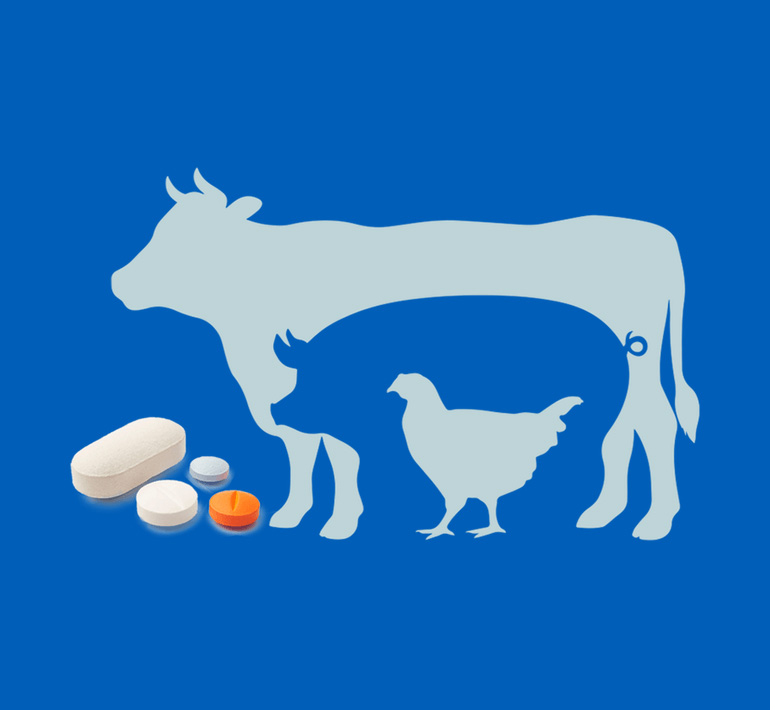 icon-image